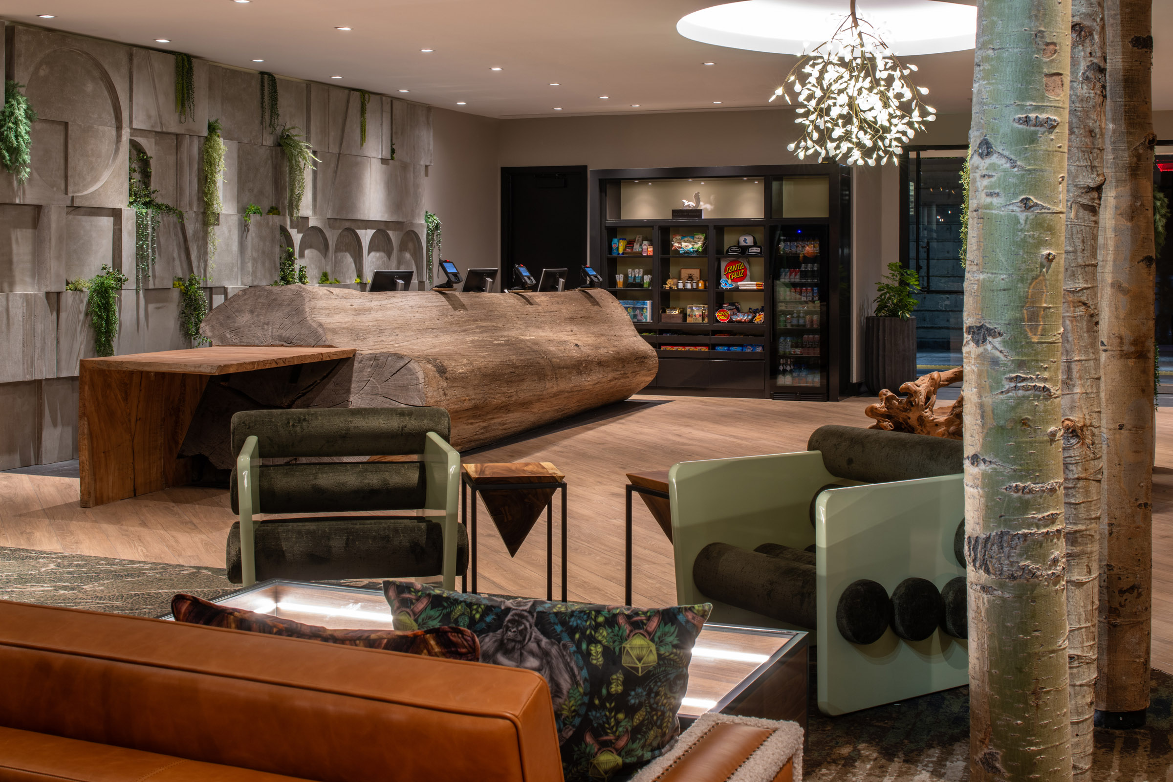 Downtown Santa Cruz Hotels | Contact Us | Hotel Paradox